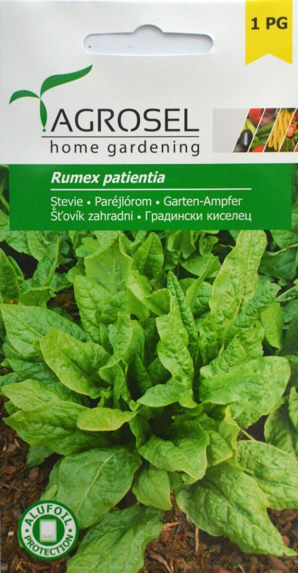 Engelsk Spinat - Rumex Patientia