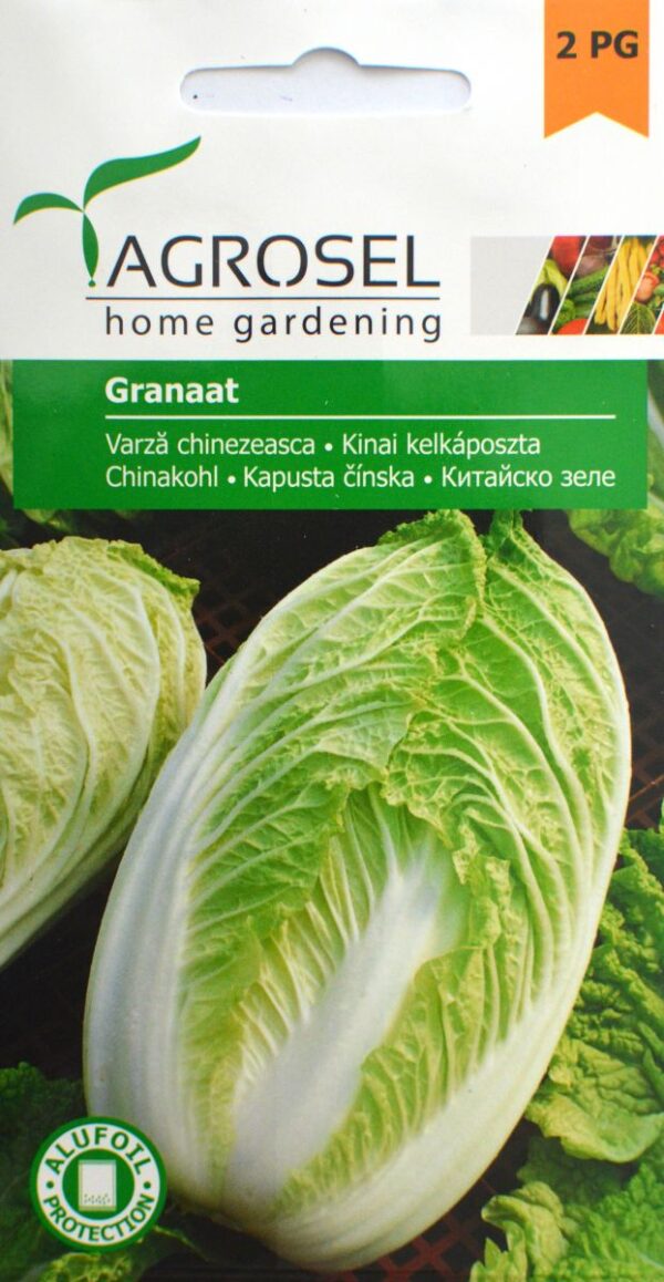 Kinakål - Granaat