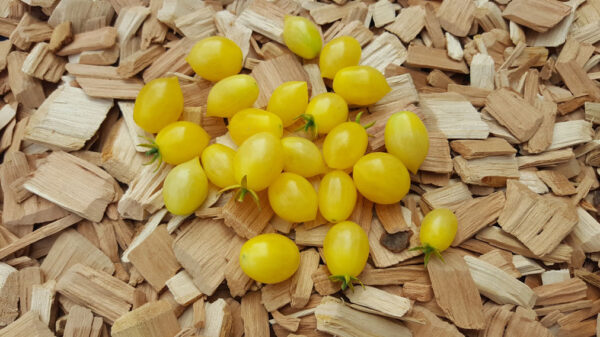 Barry's Crazy Cherry - Tomat - Image 3