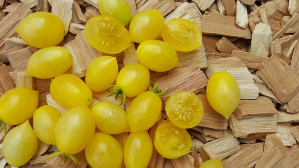 Barry's Crazy Cherry - Tomat