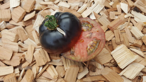 Black Beauty - Tomat - Image 3