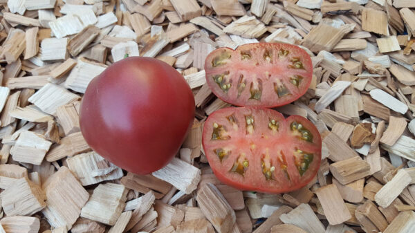 Dwarf Purple Heart - Tomat - Image 2