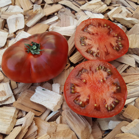 Sleeping Lady – Tomat – Bjarne's frø og planter