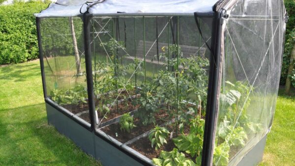 Growcamp 30 cm Tomatbed/Høj model - Billede 4