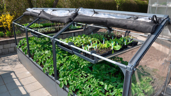 GrowTray til GrowCamp