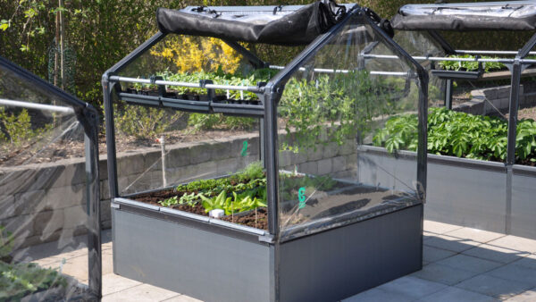 GrowTray til GrowCamp - Image 3