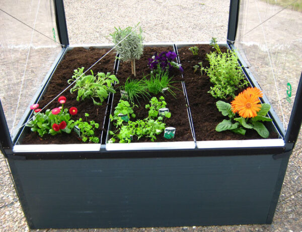 GrowCamp Jordbakke - Billede 3