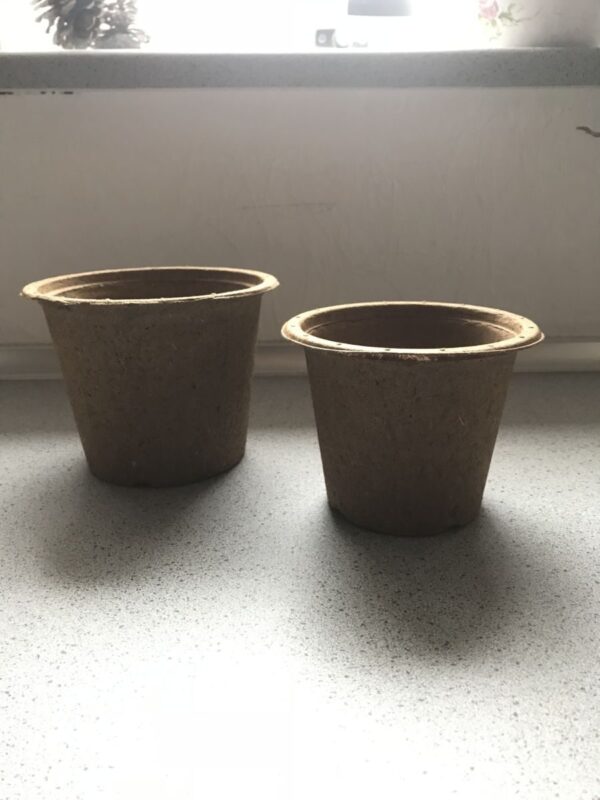 Potte i Træfiber - 12 cm - Image 3