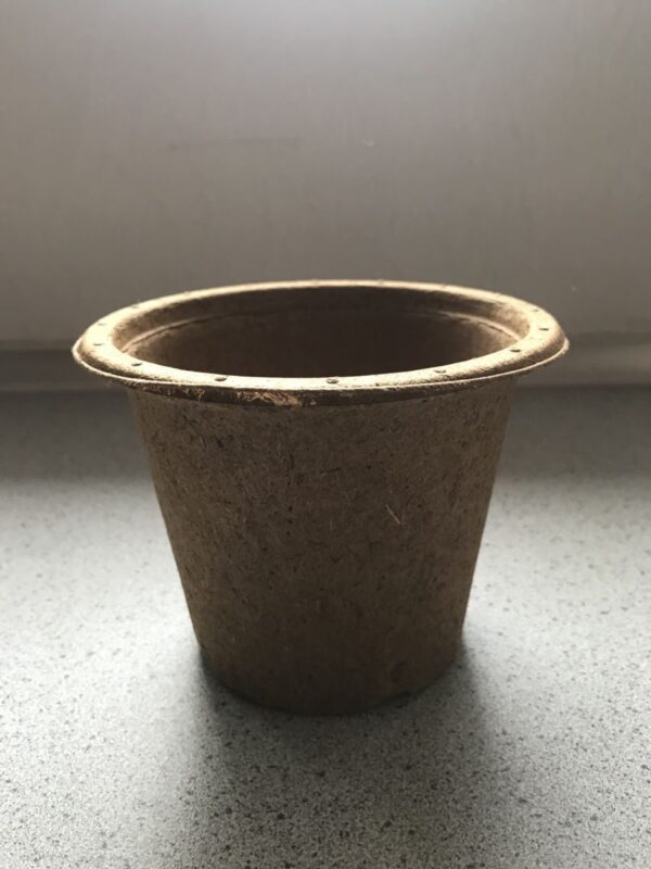 Potte i Træfiber - 12 cm