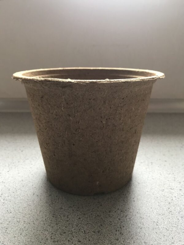 Potte i Træfiber - 14 cm