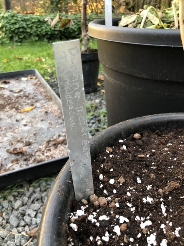 Gravørmaskine + planteskilte - Image 3