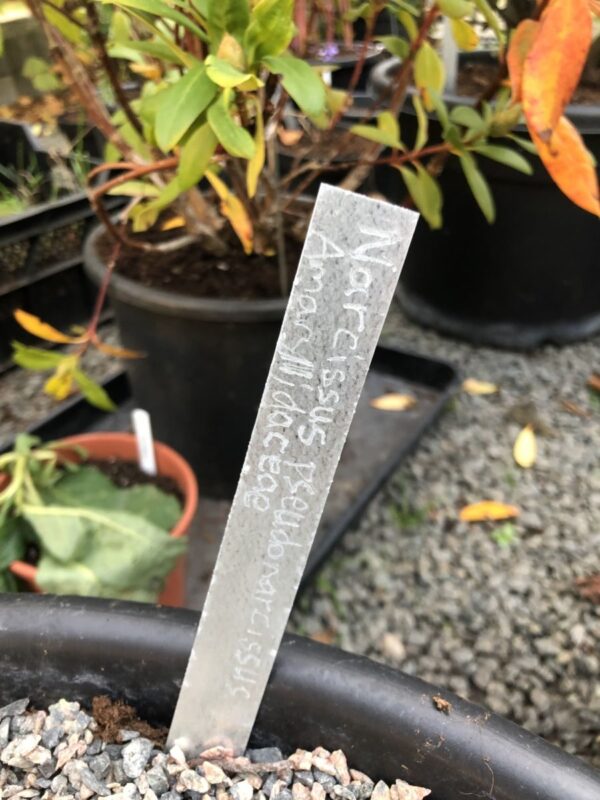 Gravørmaskine + planteskilte - Image 4