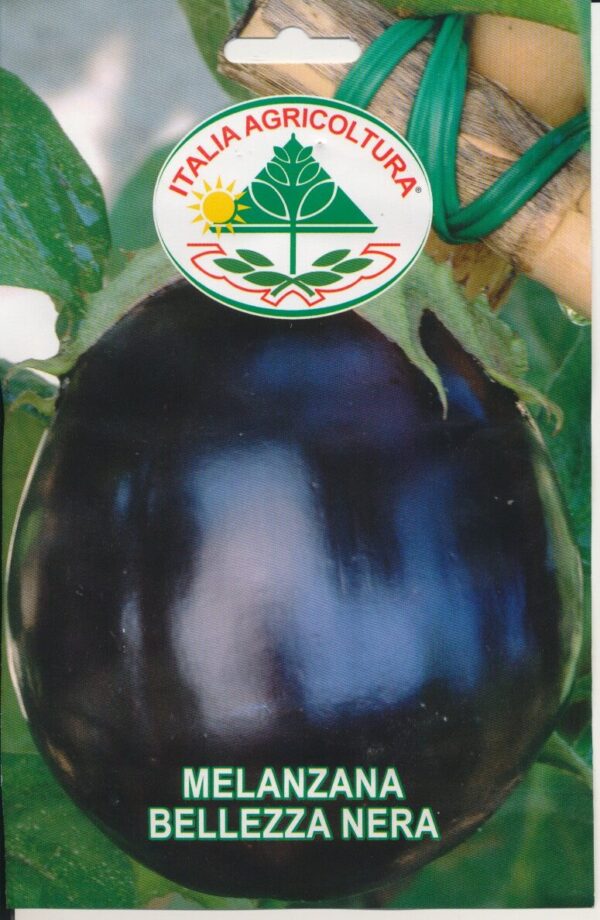 Aubergine - Bellezza Nera