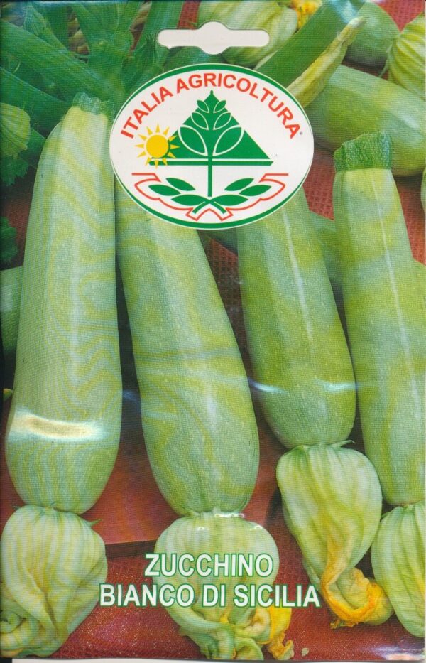 Squash - Bianco Di Sicilia