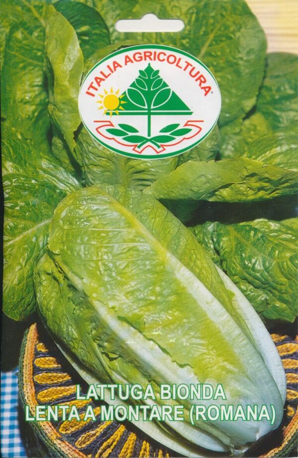 Salat, Romaine - Bionda Lenta A Montare