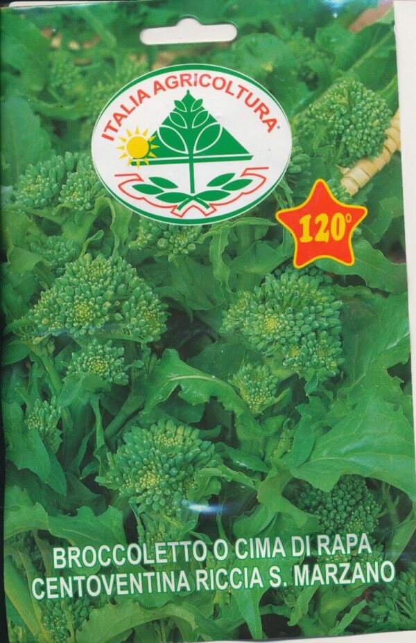 Rapini - Centoventina Riccia S. Manzano