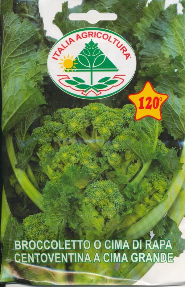 Rapini - Centoventina A Cima Grande
