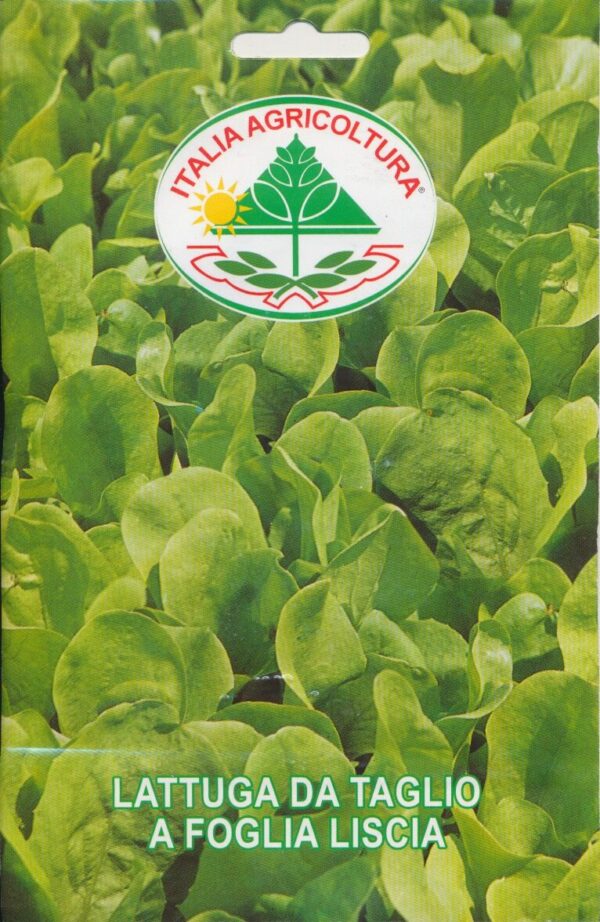 Salat - Da Taglio a Foglia Liscia