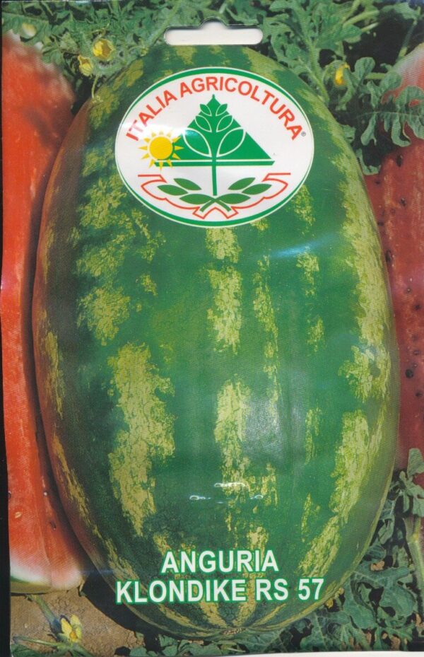 Melon, vand - Klondike RS 57