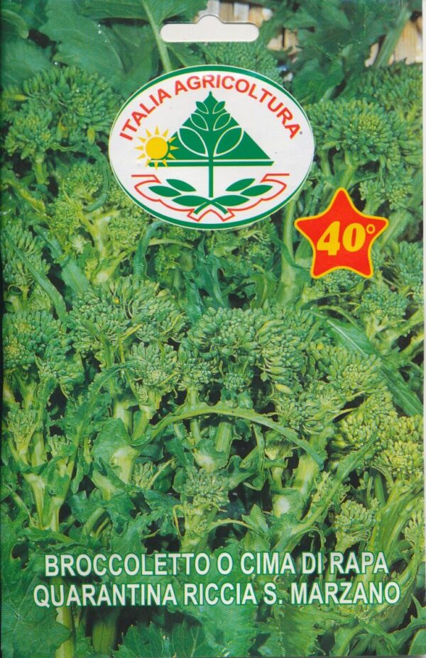 Rapini - Quarantina Riccia S. Marzano