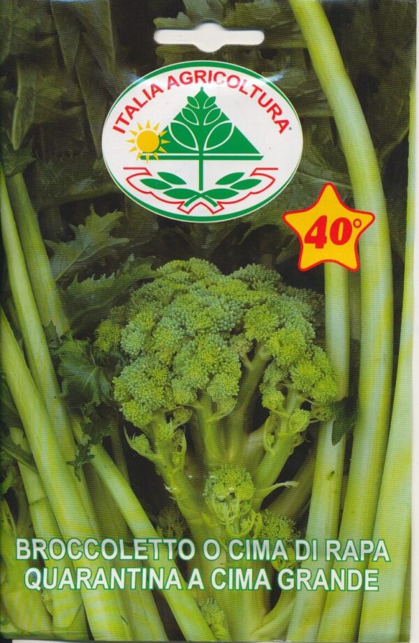 Rapini - Quarantina A Cima Grande