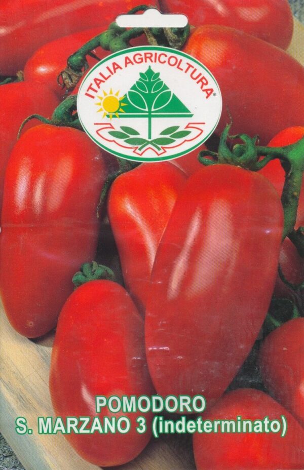 Tomat - San Marzano 3 - Italia