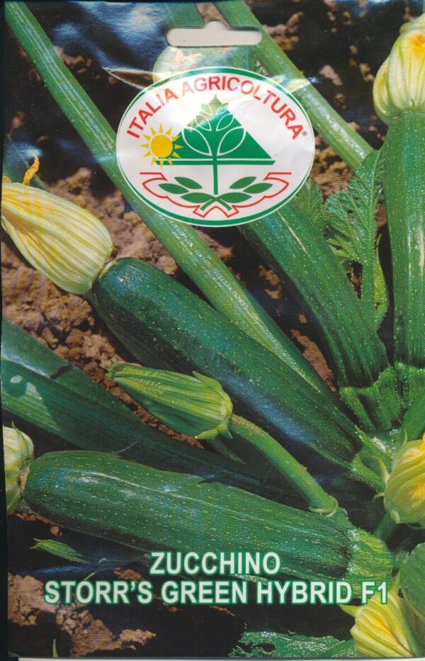 Squash - Storr's Green Hybrid F1