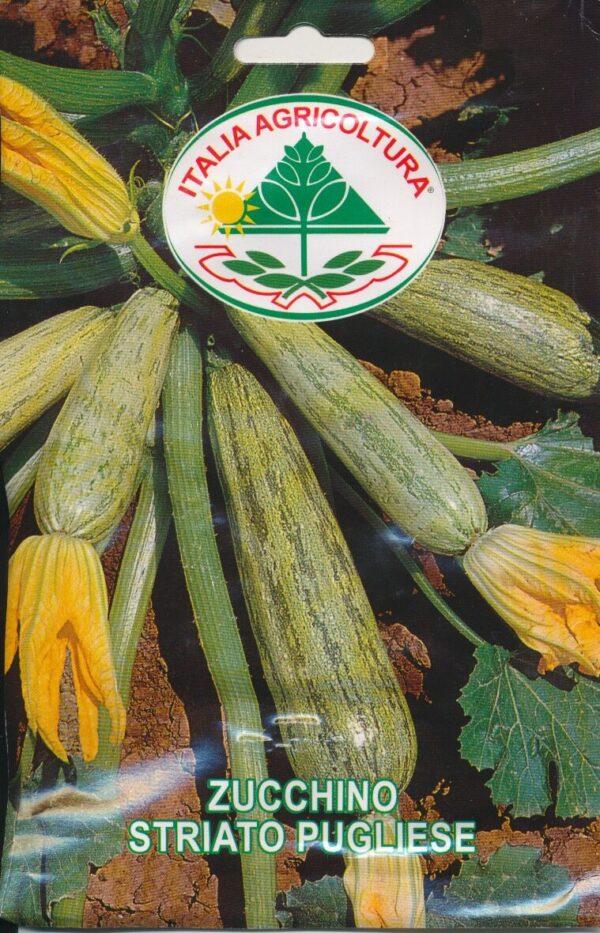 Squash - Striato Pugliese