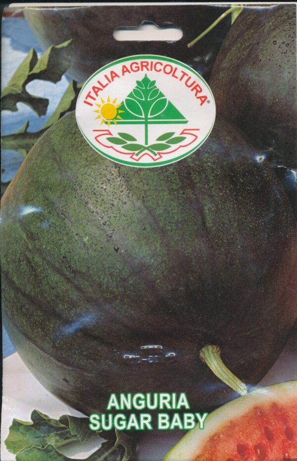 Melon, Vand - Sugar Baby
