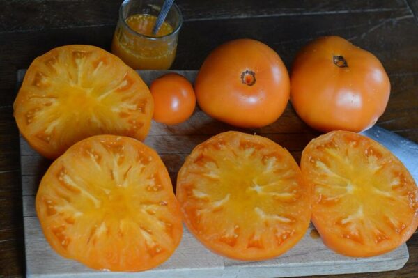 Summer Cider Apricot - Tomat
