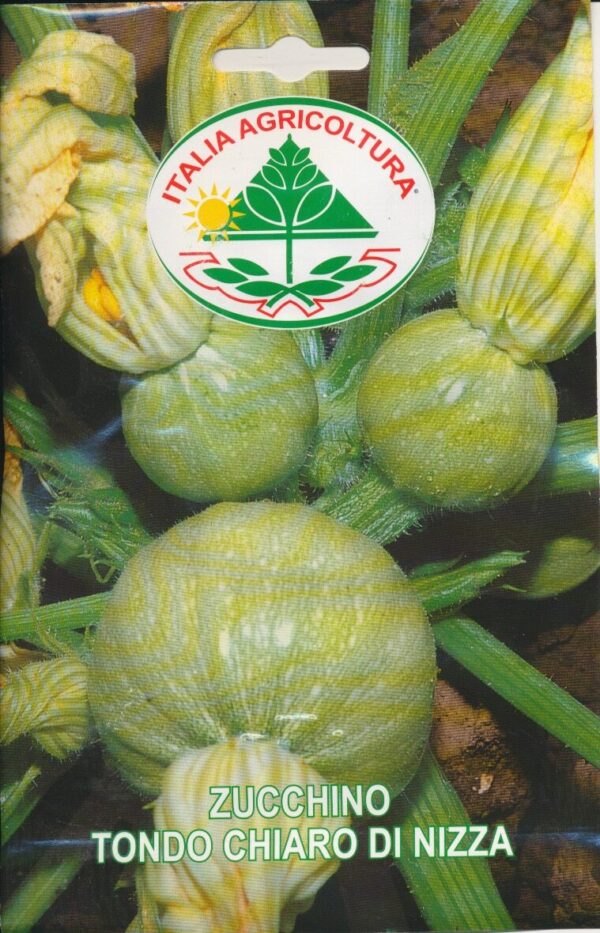 Squash - Tondo Chiaro Di Nizza