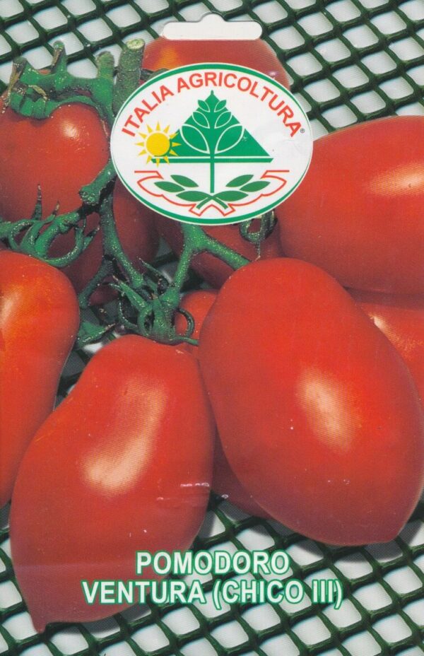 Tomat - Ventura - Italia