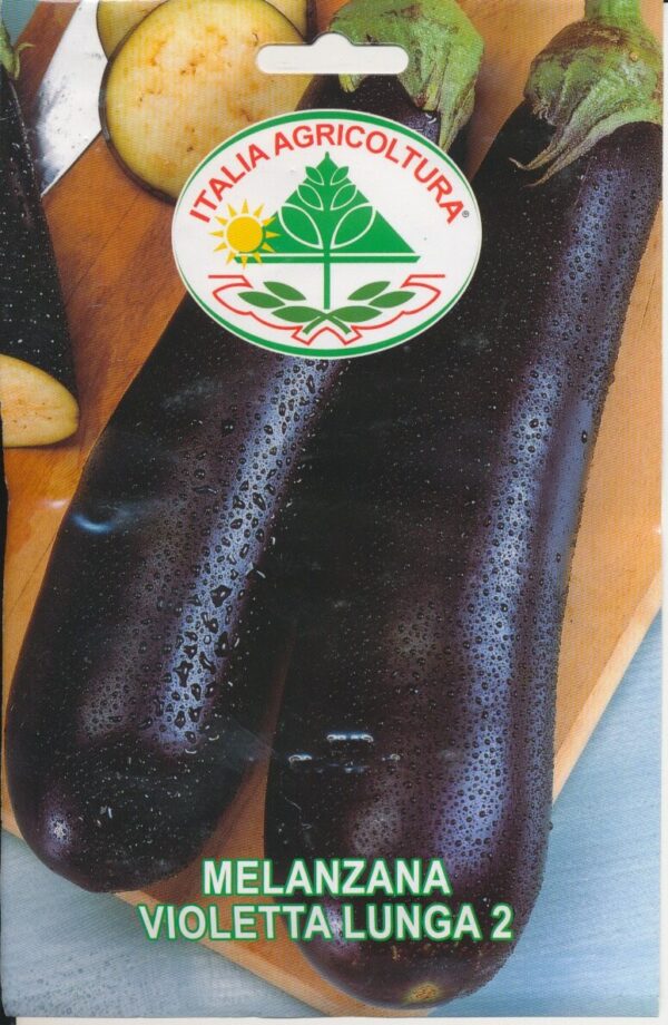 Aubergine - Violetta Lunga 2