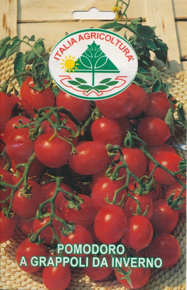 Tomat - A Grappoli da Inverno - Italia