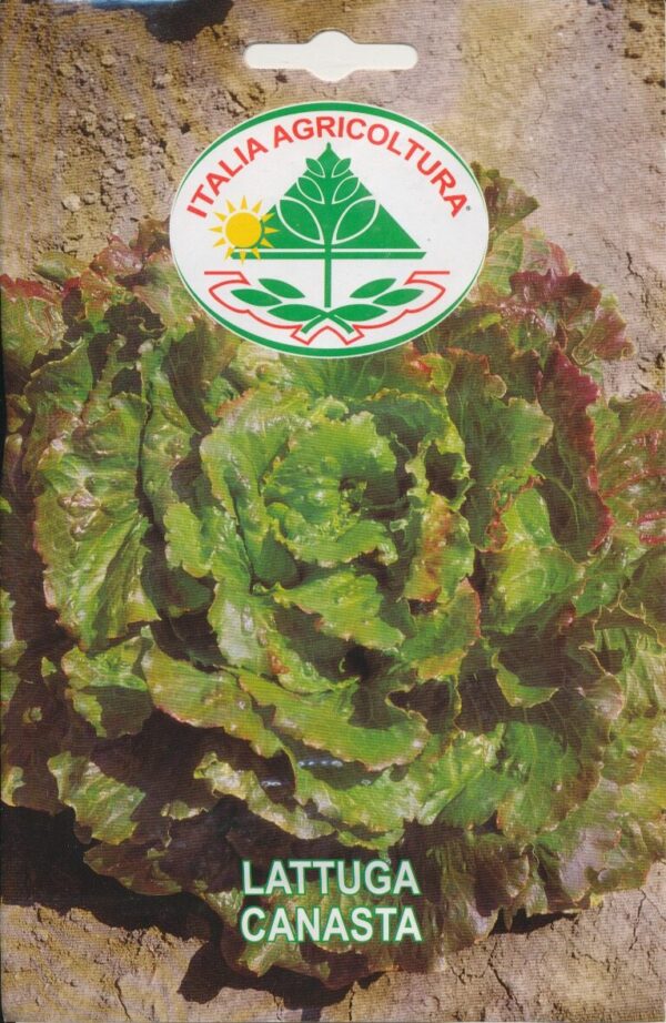Salat, Blad - Canasta