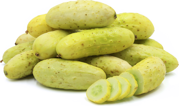 Salt & Pepper - Agurk - Organic