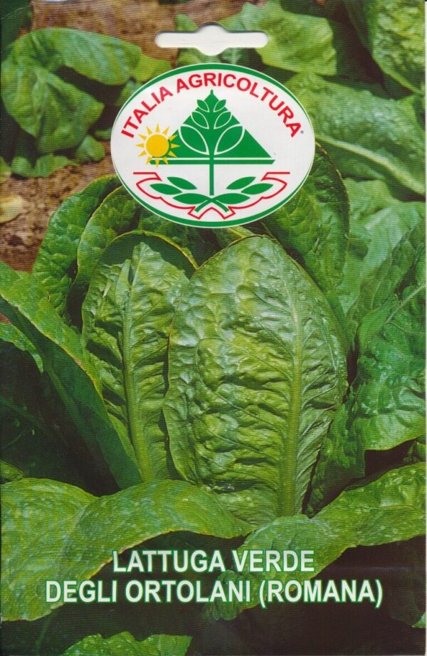Salat, Romaine - Verde Degli Ortolani