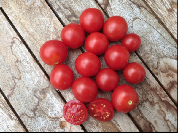 Window Box Red - Tomat