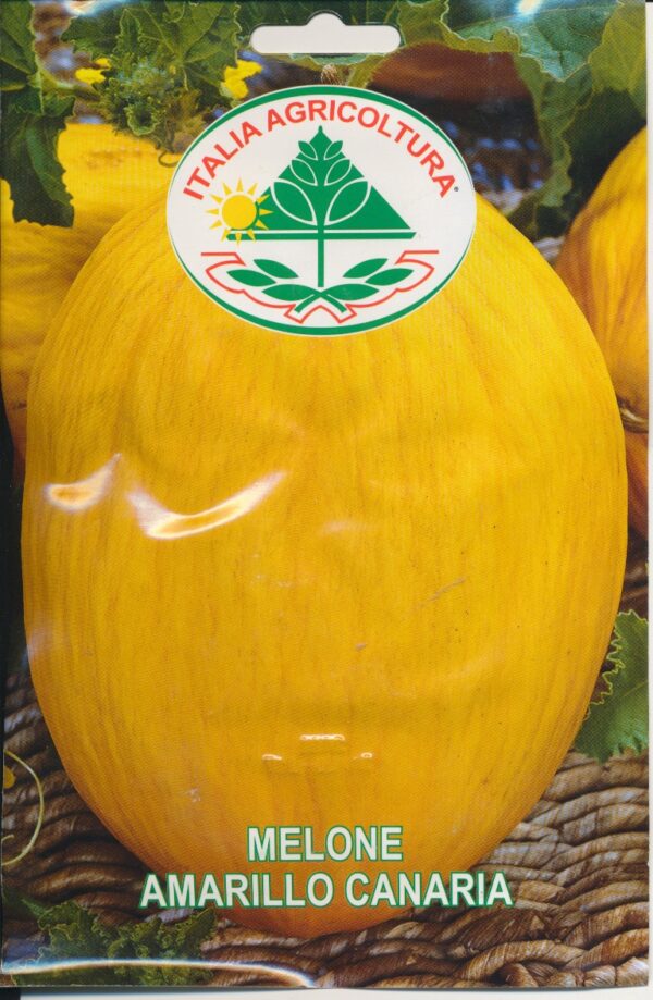 Melon - Amarillo Canaria