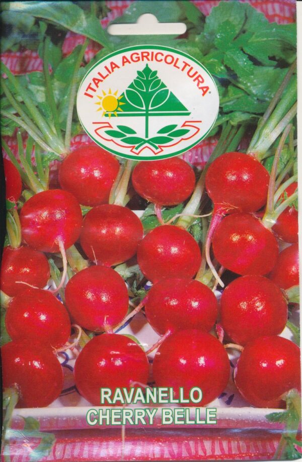 Radis - Cherry Belle