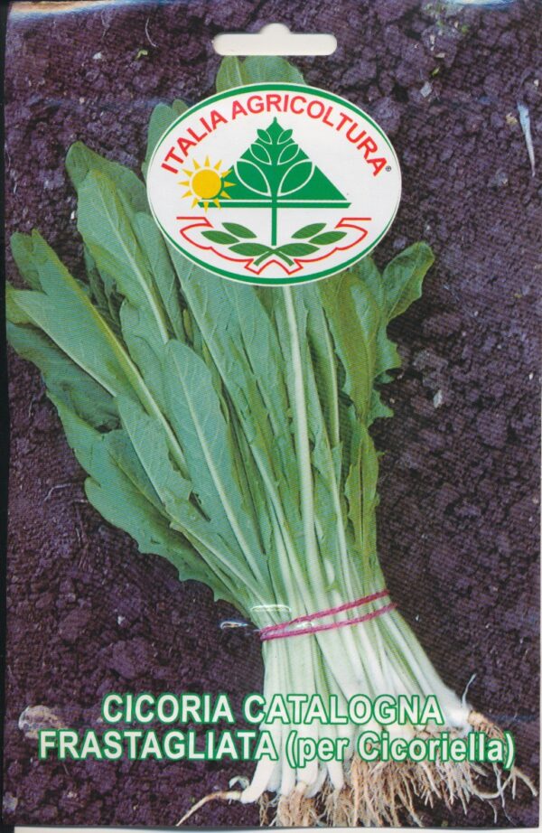Cikorie, blad - Frastagliata (Per Cicoriella)
