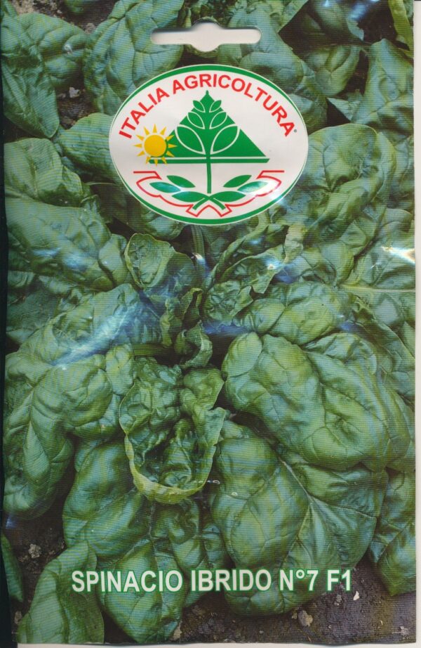 Spinat - Ibrido No. 7 *F1*