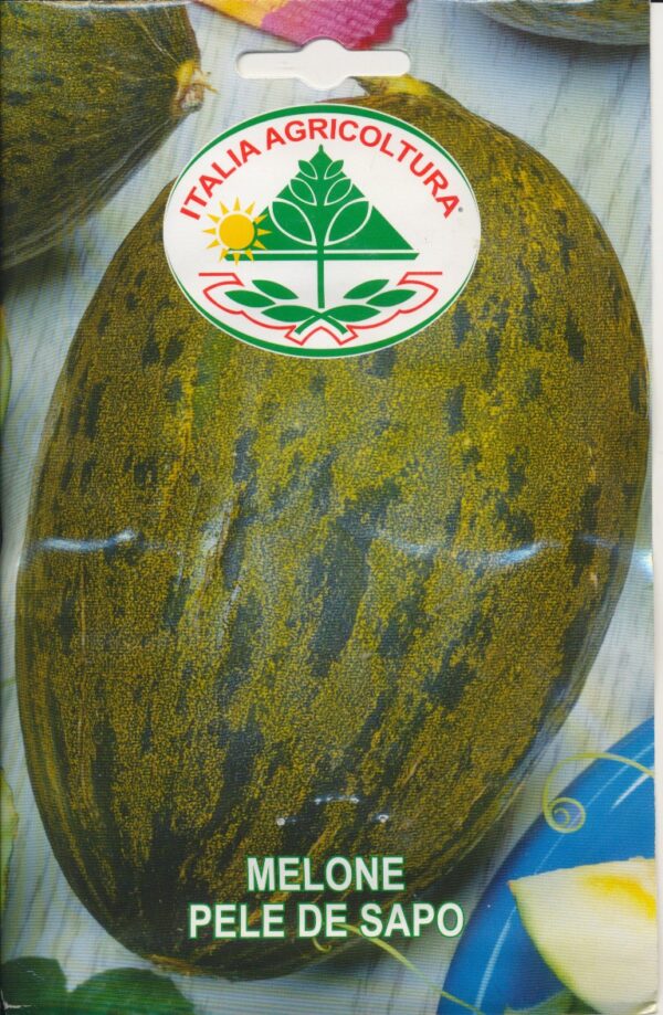 Melon - Pele de Sapo