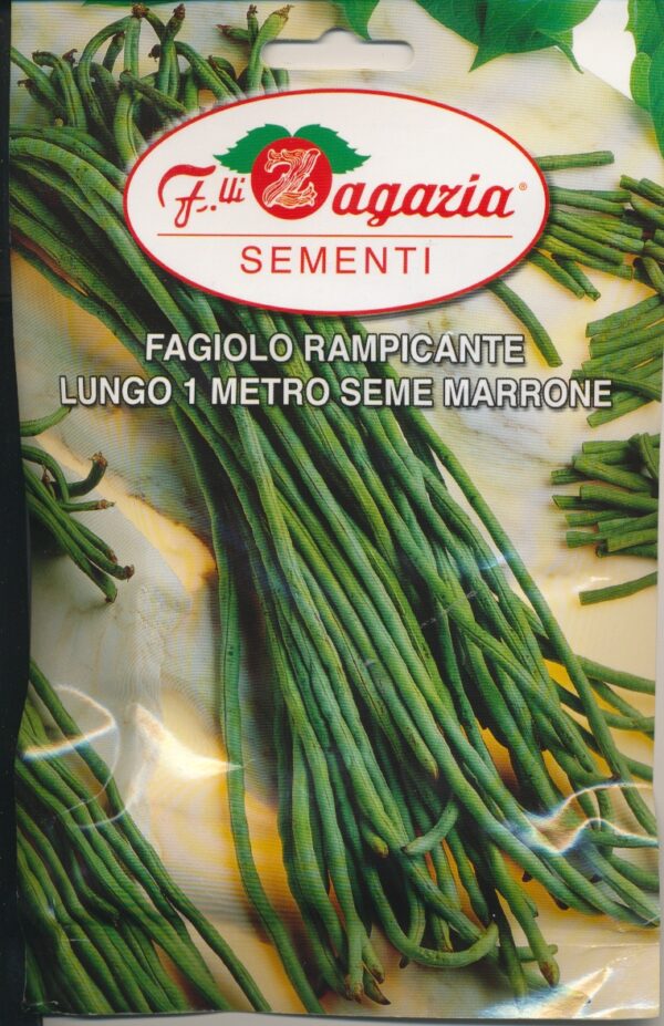Bønne, Stang - Lungo 1 metro seme Marrone - 50 gram