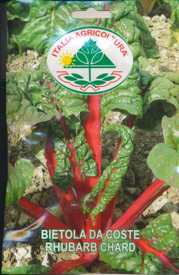 Bede, Blad - Rhubarb Chard