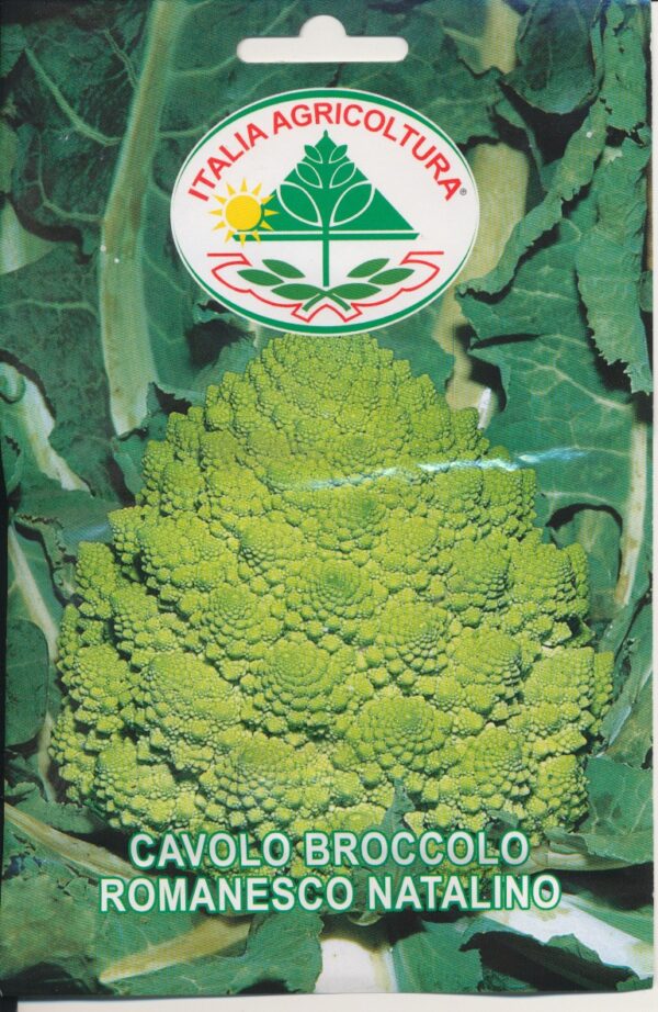 Kål, Romanesco - Romanesco Natalino