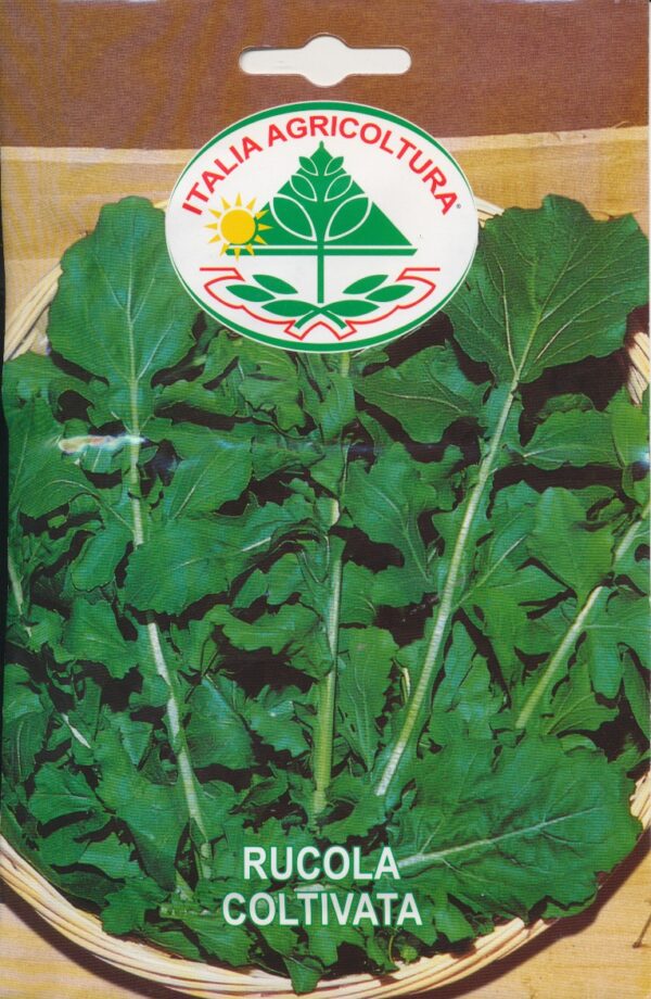 Salat, Rucola - Coltivata