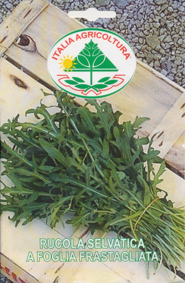 Salat, Rucola - Selvatica A Foglia Frastagliata