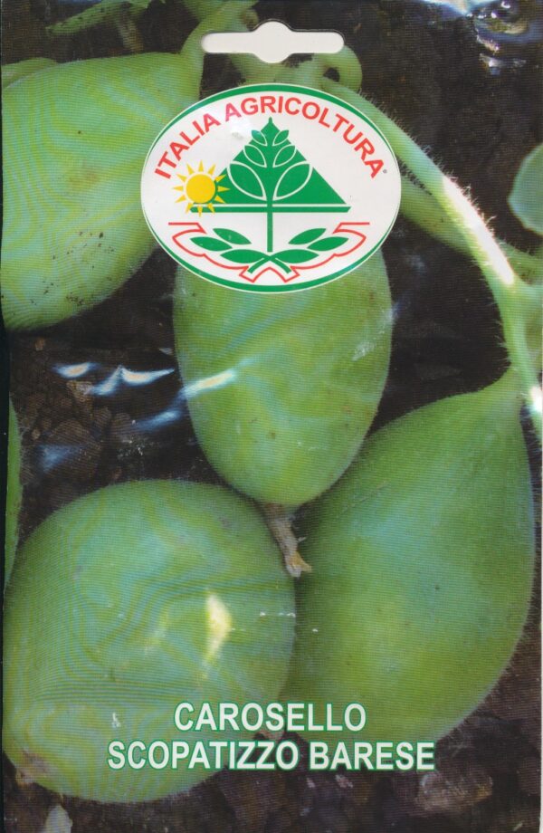 Agurk, Melon - Scopatizzo Barese