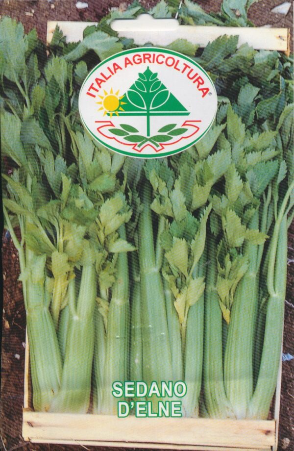 Selleri, blad - D'Elne